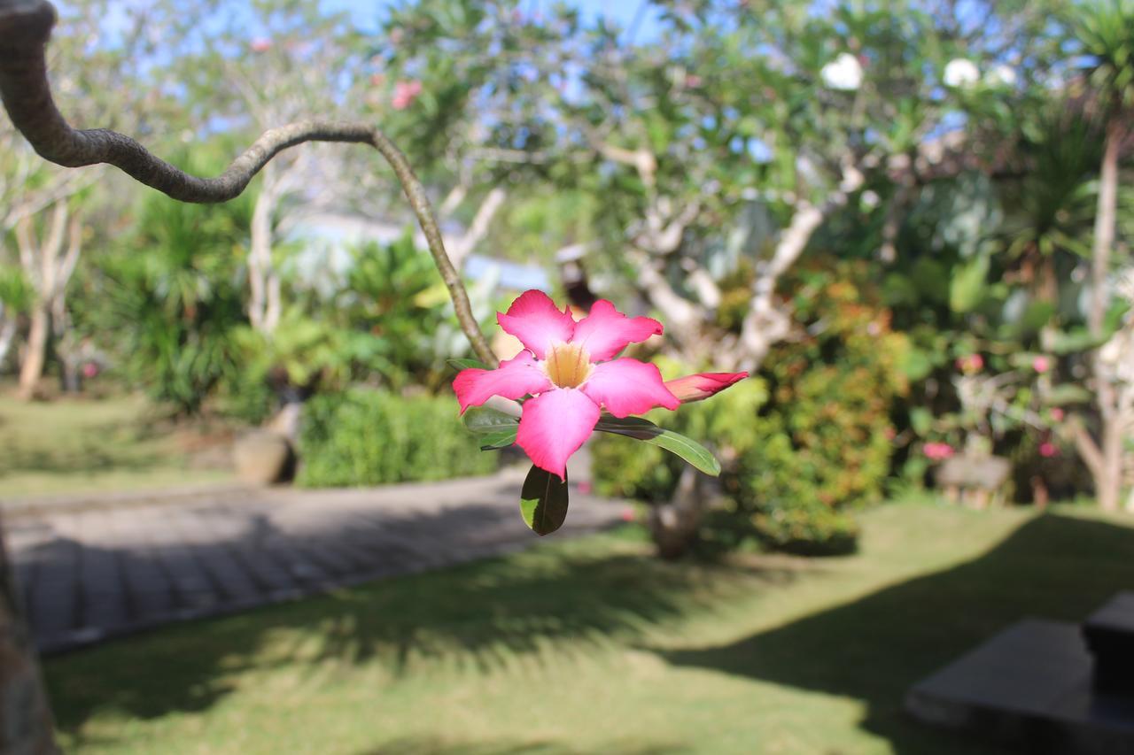 El Homestay Bali Nusa Dua  Exteriér fotografie