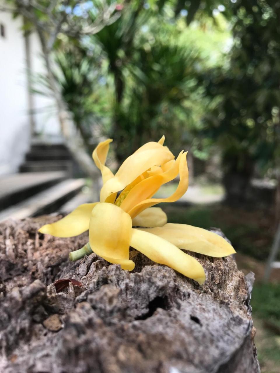 El Homestay Bali Nusa Dua  Exteriér fotografie
