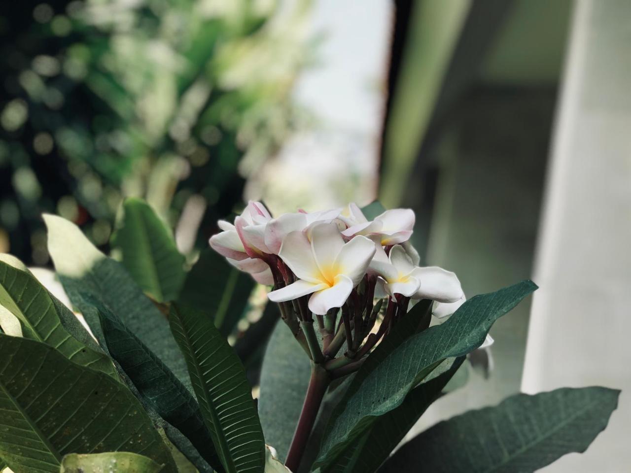 El Homestay Bali Nusa Dua  Exteriér fotografie